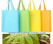 Non Woven Bag, An Effective Alternative To Replace Plastic Bags